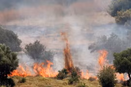 Rocket được bắn từ phía Liban rơi xuống miền Bắc Israel, gây hỏa hoạn ngày 12/6/2024. (Ảnh: AFP/TTXVN)