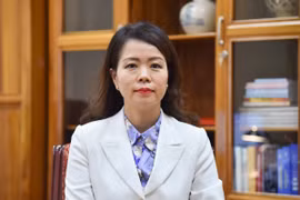 Thứ trưởng Bộ Ngoại giao Nguyễn Minh Hằng. (Ảnh: TTXVN phát)