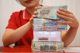 Ảnh minh họa. (Nguồn: Vietnam+)