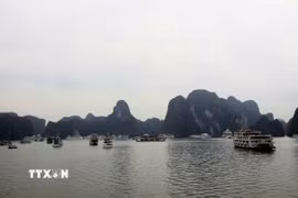 Du lịch Quảng Ninh. (Nguồn: TTXVN)