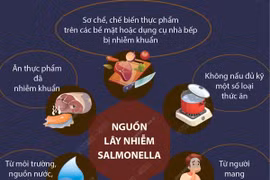 Cảnh giác với sự nguy hiểm của vi khuẩn Salmonella 
