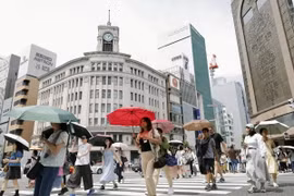Người dân che ô tránh nắng nóng tại Tokyo, Nhật Bản, ngày 18/7/2024. (Ảnh: Kyodo/TTXVN)