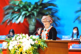 Đại biểu Hội Liên hiệp phụ nữ tỉnh Bắc Kạn Lý Thị Quyên trình bày tham luận. (Ảnh: Minh Đức/TTXVN)