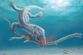 Phát hiện mới về nguyên nhân tuyệt chủng của "quái vật' biển cổ dài 
