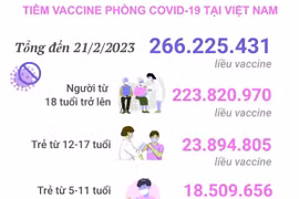 [Infographics] Tình hình tiêm vaccine phòng COVID-19 tại Việt Nam