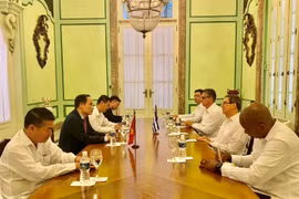 Đoàn đại biểu Ban Đối ngoại Trung ương hội kiến Ủy viên Bộ Chính trị, Bộ trưởng Ngoại giao Cuba Bruno Rodríguez Parrilla. (Ảnh: Mai Phương/TTXVN)