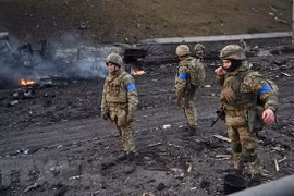 Thổ Nhĩ Kỳ, Ukraine nêu bật tầm quan trọng của việc ngừng bắn