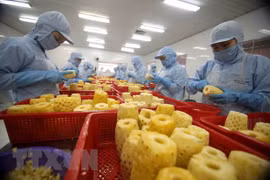 Kim ngạch thương mại Việt-Lào đạt gần 100 triệu USD trong tháng 1/2023