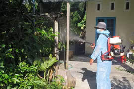 Hà Nam chủ động phát hiện, xử lý ổ bệnh sốt xuất huyết