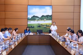 Quốc hội thảo luận về dự án Luật Các tổ chức tín dụng sửa đổi