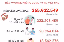 [Infographics] Tình hình tiêm vaccine phòng COVID-19 tại Việt Nam