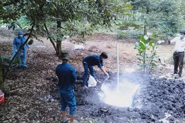 Cơ quan chức năng tiến hành tiêu độc, khử trùng nơi ổ dịch. (Ảnh: Đậu Tất Thành/TTXVN)