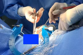 (Ảnh minh họa: TTXVN phát)