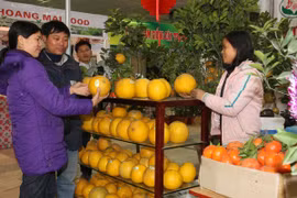 Nhiều đặc sản vùng miền sẽ góp mặt tại Hội chợ Xuân 2015 