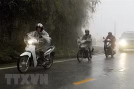 (Ảnh minh họa: Quốc Khánh/TTXVN)