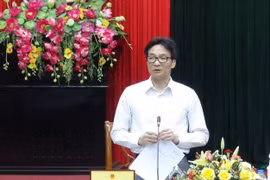Phó Thủ tướng Vũ Đức Đam. (Ảnh: Đức Thọ/TTXVN)