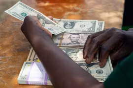 Kiểm đồng USD tại Mutoko của Zimbabwe. (Ảnh: AFP/TTXVN)
