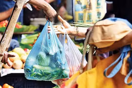 Bang Uttar Pradesh cám dùng dùng túi nylon. (Nguồn: dnaindia)