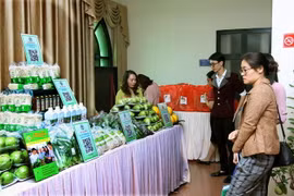 Hàng Việt Nam chất lượng cao được trưng bày giới thiệu. (Ảnh: Nguyễn Dân/TTXVN)