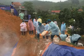 Các lực lượng chức năng dùng vôi tiêu hủy lợn nhiễm bệnh. (Ảnh: Ngọc Anh/TTXVN)