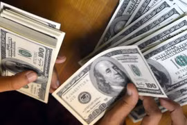 Kiểm đồng USD. (Ảnh: AFP/TTXVN)