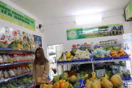 (Ảnh minh họa. (Nguồn: Vietnam+)