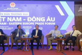 Phiên thảo luận thu hút sự tham gia của nhiều chuyên gia, doanh nghiệp. (Ảnh: Hứa Chung/TTXVN)
