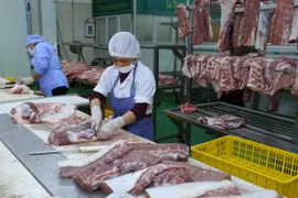 Chế biến thịt lợn tại nhà máy của Công ty Cổ phần Công nghệ thực phẩm Vinh Anh, huyện Thường Tín, Hà Nội. (Ảnh: Vũ Sinh/TTXVN)