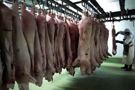 Các sản phẩm thịt lợn tại nhà máy chế biến thực phẩm ở ngoại ô thủ đô Sofia, Bulgaria. (Nguồn: AFP/TTXVN)