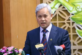 Tổng cục trưởng Tổng cục Thống kê Nguyễn Bích Lâm. (Ảnh: Danh Lam/TTXVN)