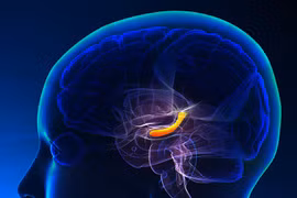 Ảnh minh họa. (Nguồn: medscape.com)
