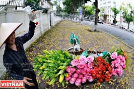 Ảnh minh họa. (Nguồn: Báo Ảnh Việt Nam)