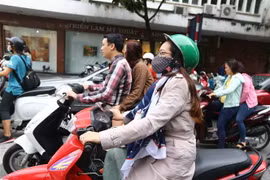 (Ảnh minh họa: Danh Lam/TTXVN)
