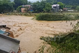 Ảnh minh họa. (Nguồn: Hương Thu/Vietnam+)