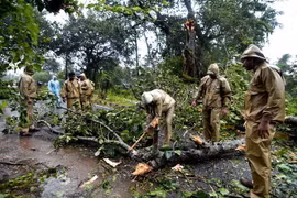 Cây cối bị gió quật đổ ở khu vực nằm giữa Gopalpur và Berhampura khi bão Titli đổ bộ vào bang Odisha, miền Đông Ấn Độ ngày 11/10. (Nguồn: AFP/TTXVN) 