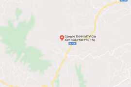 Vị trí Công ty Trách nhiệm hữu hạn Một thành viên gia cầm Hòa Phát Phú Thọ. (Nguồn: Google Maps) 