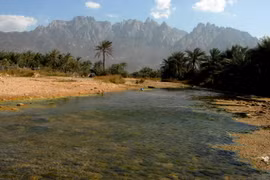 Quang cảnh đảo Socotra. (Nguồn: AFP/TTXVN) 