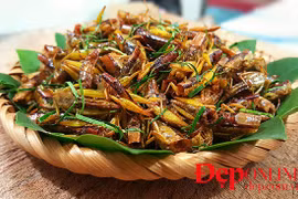 Châu chấu rang mùa gặt, món ngon của làng quê Bắc Bộ