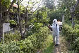 Các bộ Trung tâm Y tế dự phòng tỉnh Thừa Thiên-Huế phun thuốc diệt muỗi phòng chống dịch bệnh tại thành phố Huế. (Ảnh: Hồ Cầu/TTXVN)