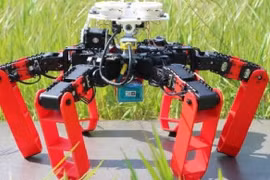 (Nguồn: interestingengineering.com) 