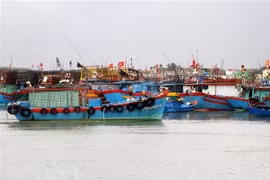 Tàu thuyền neo đậu tại khu tránh trú bão. (Ảnh: Văn Tý/TTXVN) 