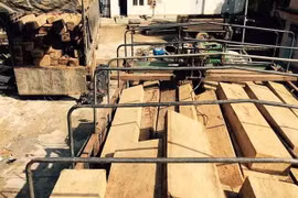 (Ảnh minh họa: Phạm Cường/TTXVN)