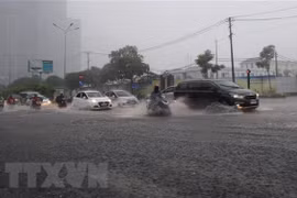 (Ảnh minh họa: Xuân Dự/TTXVN) 