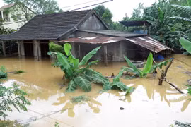 (Ảnh minh họa: Thanh Thủy/TTXVN)