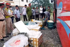 (Ảnh minh họa: Hồ Cầu/TTXVN)