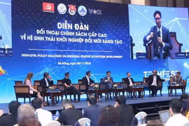 Phó Thủ tướng Vũ Đức Đam phát biểu tại diễn đàn. (Nguồn: TTXVN phát) 