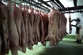 Các sản phẩm thịt lợn tại nhà máy chế biến thực phẩm ở ngoại ô thủ đô Sofia, Bulgaria. (Nguồn: AFP/TTXVN) 
