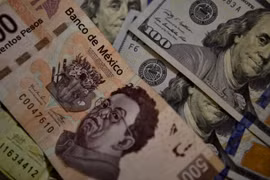 Đồng peso Mexico bên cạnh đồng USD. (Nguồn: AFP)