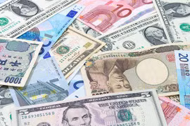 FDI cũng tồn tại một số vấn đề nếu không xử lý tốt sẽ khó đạt được mục tiêu phát triển bền vững. (Nguồn: investopedia.com) 