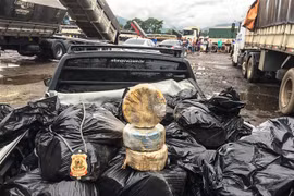 Cảnh sát Brazil trưng bày số cocaine thu giữ được trong chiến dịch truy quét tội phạm buôn bán ma túy ngày 28/3/2017. (Nguồn: AFP/TTXVN) 
